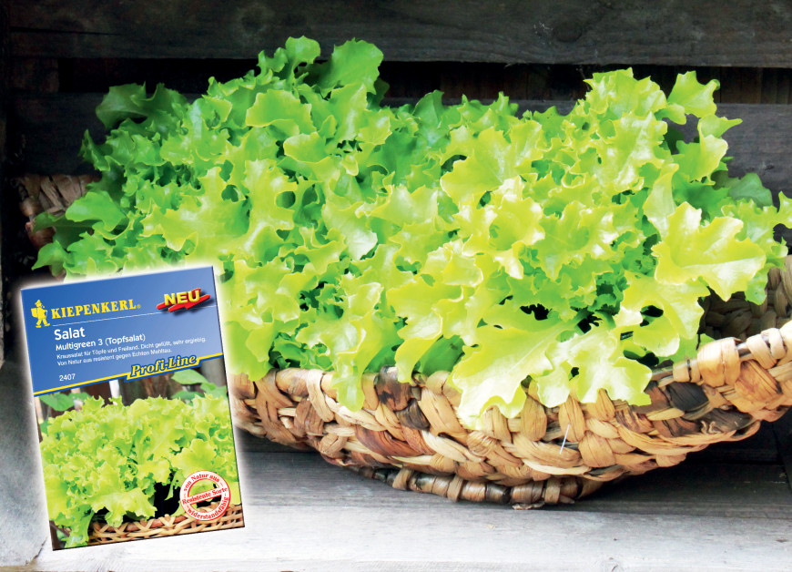Topfsalat diy online