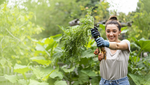 Gebol, Profi-Gartenhandschuhe 