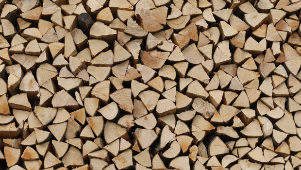 Im Gegensatz zu den Preisen der meisten anderen Baumaterialien, ist der Holzpreis gesunken.