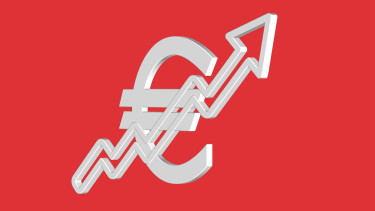 IVG befürchtet Preiserhöhungen im Gartenmarkt
