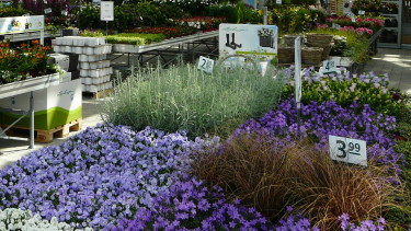 Gartenhandel holt im März ein Plus von 16 Prozent