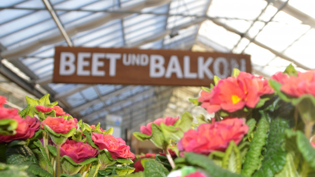 Das Segment Beet und Balkon hat sein Umsatzvolumen 2018 um 3 Prozent gesteigert.
