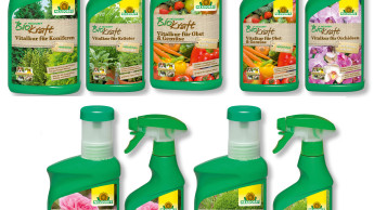 Vitalkuren für Pflanzen