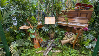 Grün geht unter die Haut