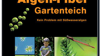 Algenfreier Gartenteich