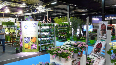 Sind immer mehr Gartenmessen gut für die Branche?