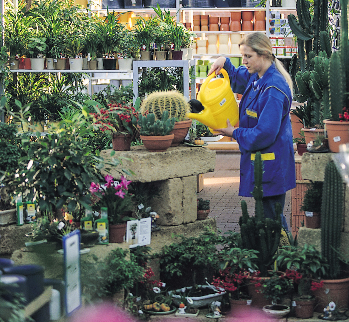 Blumen und Pflanzenmarkt schrumpft... diy online