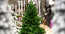 Knapp ein Prozent mehr für Weihnachts- und Festartikel
