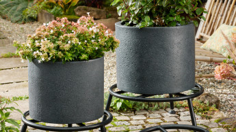 Wagner System erhält „Best of Design-Award“