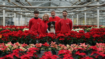 Gartencenterbetreiber Flora-Land Arnold wird Hagebau-Gesellschafter