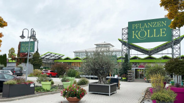 Pflanzen-Kölle führt bei der Zufriedenheit der Gartenmarkt-Kunden