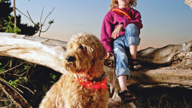 Ein leuchtendes Halsband