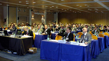 Zufrieden in der Sonne