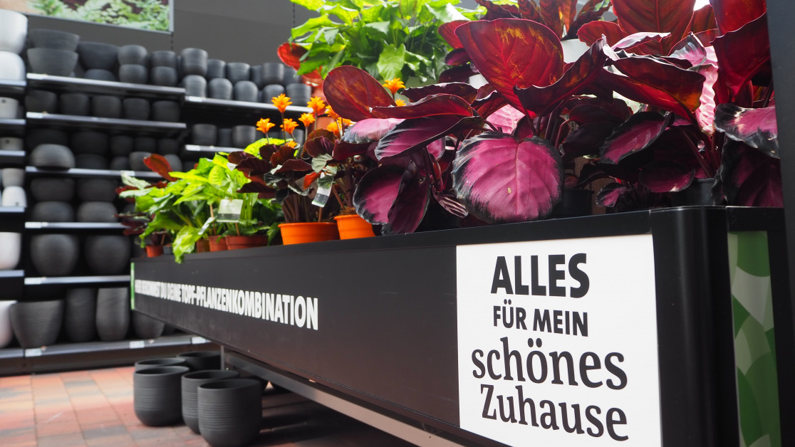 Die neuen Gärtner kommen diy online