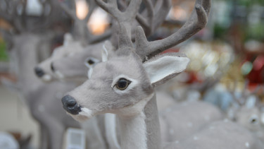Weihnachtsgeschäft bleibt durchwachsen