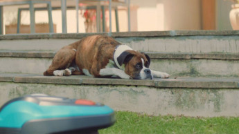 Auch Gardena geht wieder ins Fernsehen Auch Gardena geht wieder ins Fernsehen