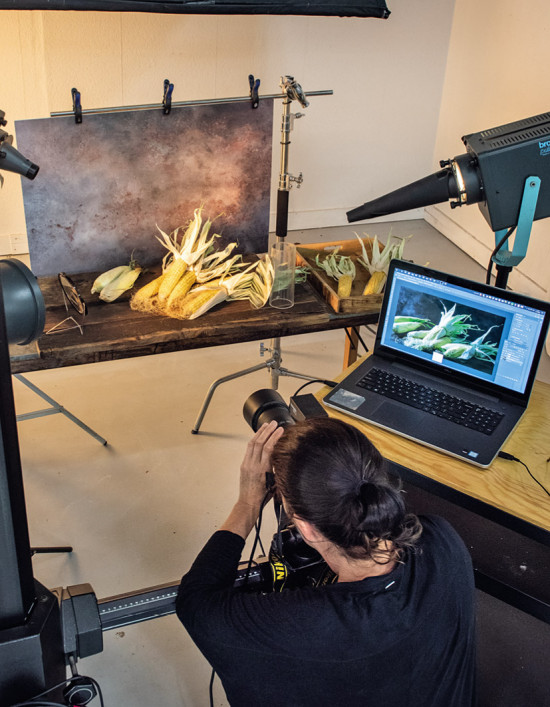 Dem 1.200 m² großen Fotostudio mit Kunst- und Tageslicht stehen Pflanzen aus einer eigenen Gärtnerei mit 4.000 m² Anbaufläche zur Verfügung. Die Online-Bilddatenbank mit mehr als 260.00 Fotos wird kontinuierlich ergänzt und aktualisiert.