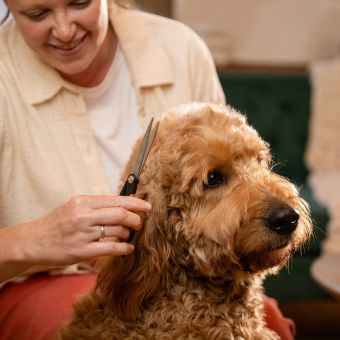 Die Pet-Care-Linie umfasst Nagelscheren, Scheren für die Fellpflege, Entfilzungs- und Entwirrungskämme, eine Nagefeile sowie eine Aufbewahrungsbox. Die Pet-Care-Linie umfasst Nagelscheren, Scheren für die Fellpflege, Entfilzungs- und Entwirrungskämme, eine Nagefeile sowie eine Aufbewahrungsbox.