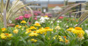 Garten und Heimtier bleiben im Juni im Minus Garten und Heimtier bleiben im Juni im Minus