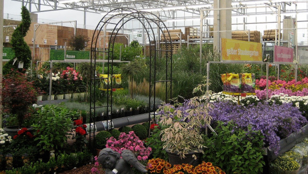 Gar nicht so schlecht: Unter den von "Mein schöner Garten" ermittelten 500 besten Gartencentern sind 280, die zu Baumärkten gehören. Gar nicht so schlecht: Unter den von "Mein schöner Garten" ermittelten 500 besten Gartencentern sind 280, die zu Baumärkten gehören.