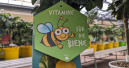 IVG unterstützt die Initiative „Bienen füttern!“