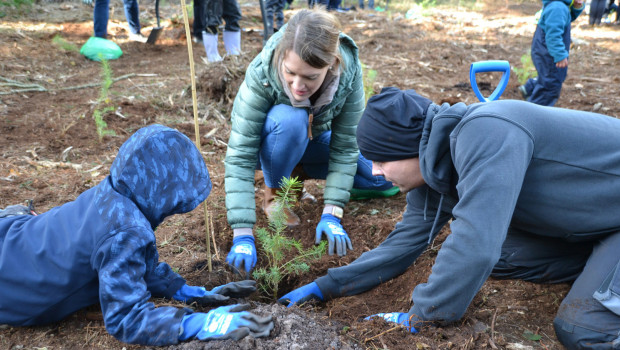 An drei Tagen wurden im zwölften Pro Fagus Root Camp mehr als 1.200 Bäume gepflanzt.