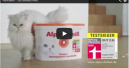 Die weiße Katze