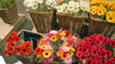 BGI betont notwendigen Schulterschluss der Branche