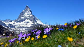 Durchweg positive Bau- und Gartenmarktzahlen in der Schweiz