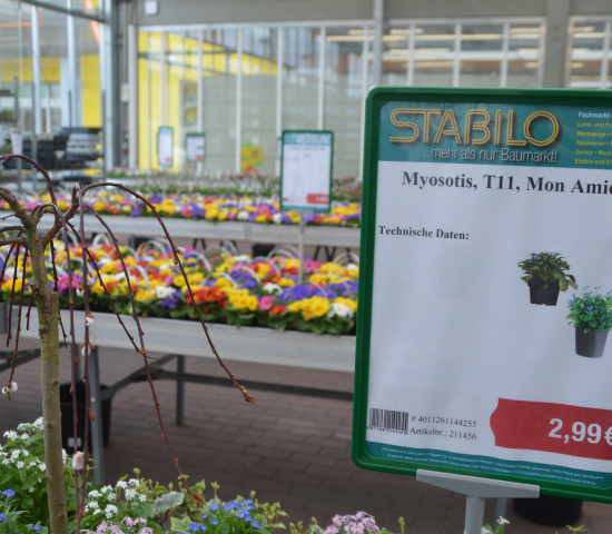 Der neue Markt verfügt auch über ein Gartencenter. Stabilo will den Pflanzenanteil künftig steigern.