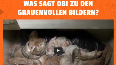 Abschied vom Verkauf von Kleintieren