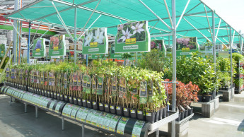 Baumärkte müssen Gartencenter in Sachsen und möglicherweise Bayern schließen