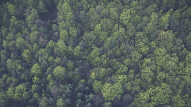 Gartenbranche begrüßt Koalitionsvereinbarungen
