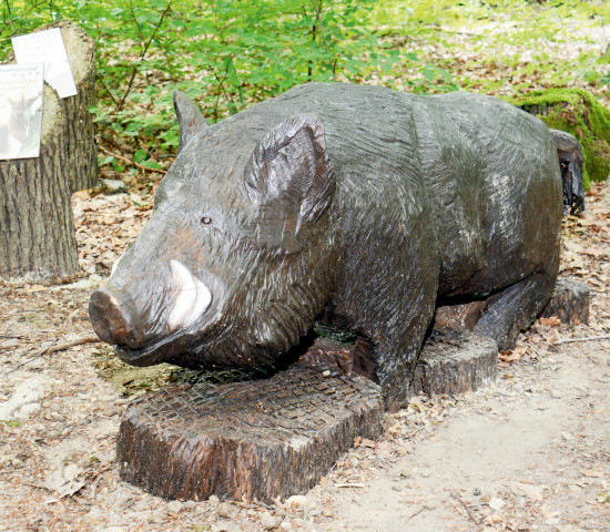 Waldtiere zum Anfassen und Streicheln gibt es im 1. FSC-zertifizierten Schulungswald mit Xyladecor als Partner. Diese mit einer Motorsäge „geschnitzten“ Kunstwerke sind mit der „Natürlichen Langzeit-Schutzlasur“, einer Innovation der Holzschutz-Traditionsmarke Xyladecor, lasiert.