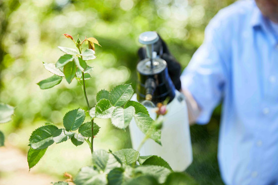 Auf aktuelle Entwicklungen im Bereich Pflanzenschutz reagiert Compo mit neuen Grundstoffen und Bioziden.