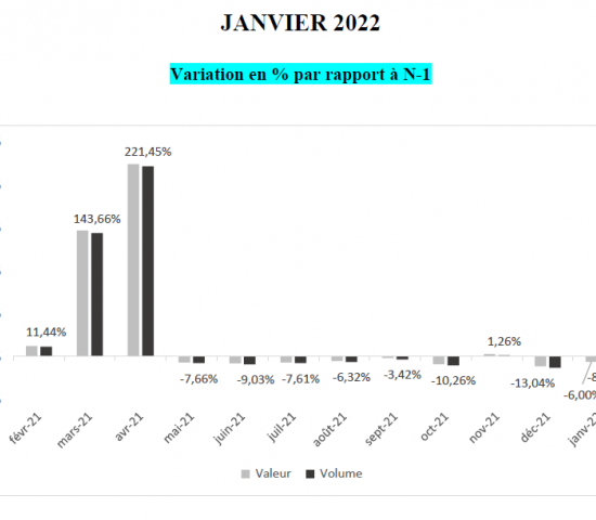 Baumärkte in Frankreich: Monatliche Veränderungsraten 2022/2021.