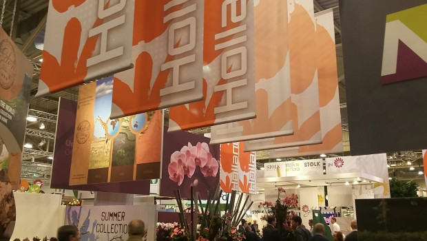 Die Niederlande sind der diesjährige Partner der IPM in Essen.