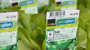 Coop wächst mit seinen Fachformaten um knapp vier Prozent