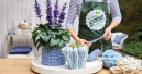 do it-Roadshow von „Blumen – 1000 gute Gründe“ wird hyggelig