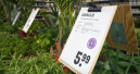 Preiserhöhungen auch im Gartenmarkt