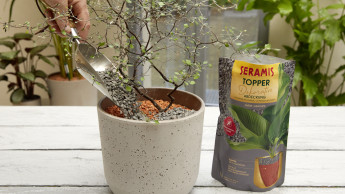 „Kunden lieben Systeme“