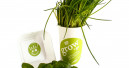 „Grow to go“ und andere frische Themen