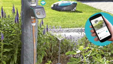 Das Internet der Dinge wird grün