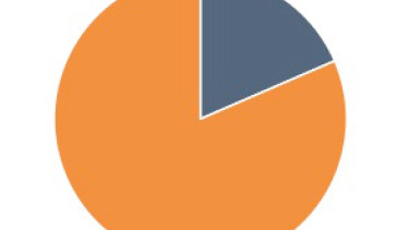 Praktiker-Insolvenz schadet nicht dem Branchenimage