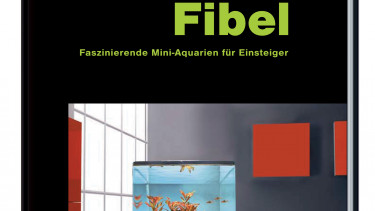 Klein, aber fein