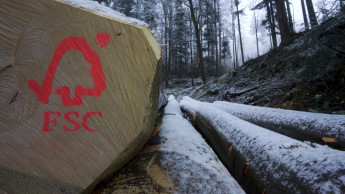 FSC-zertifizierte Grillkohlen sind Testsieger