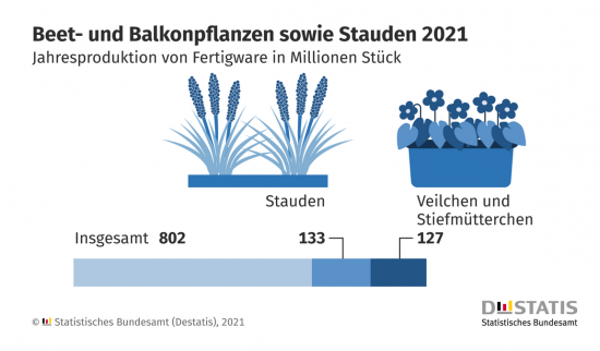 Die Produktion von Beet- und Balkonpflanzen sowie von Stauden in der Destatis-Statistik.