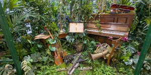 Grün geht unter die Haut Grün geht unter die Haut