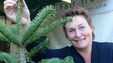 Faire Weihnachtsbäume bringen Spenden ein