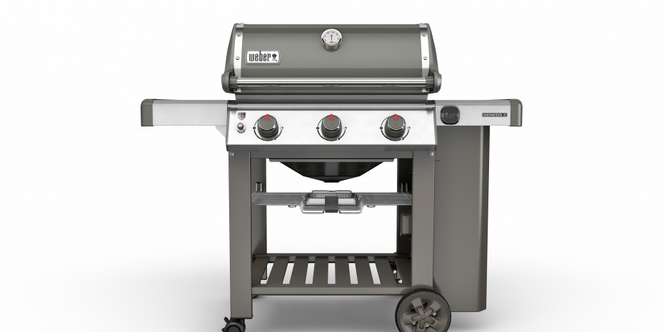 Weber-Stephen, Genesis E 310
